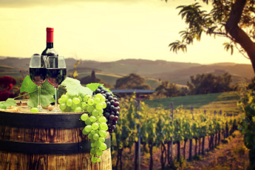 В Госдуме скорректируют закон о виноделии согласно техрегламенту ЕАЭС
