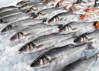 Изменения в Техрегламент на рыбу и рыбную продукцию находятся в стадии подготовки