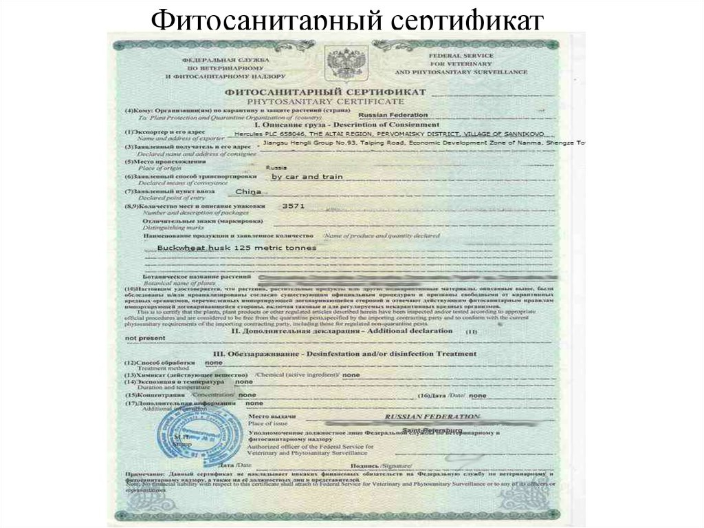 Оформить Фитосанитарный сертификат в Ставрополя